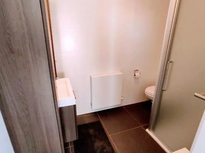 Penthouse Met Groot Terras 公寓 奥斯滕德