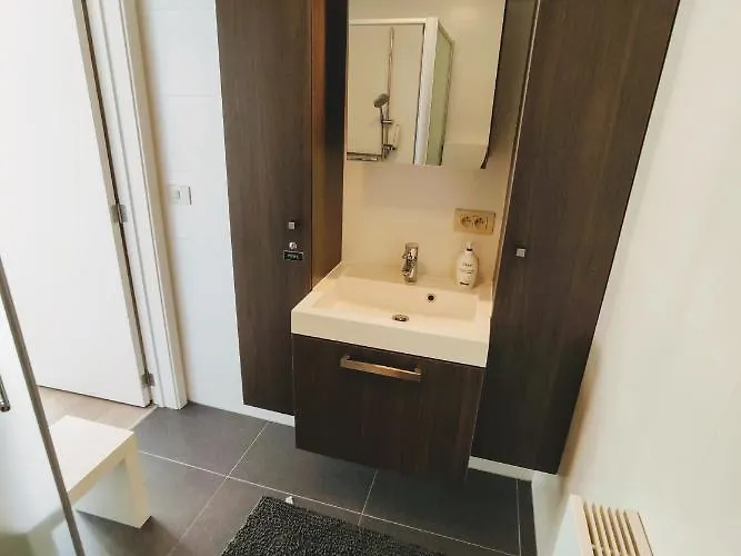 Penthouse Met Groot Terras 奥斯滕德