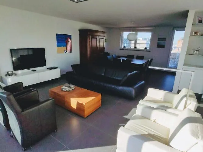 Penthouse Met Groot Terras 公寓 奥斯滕德