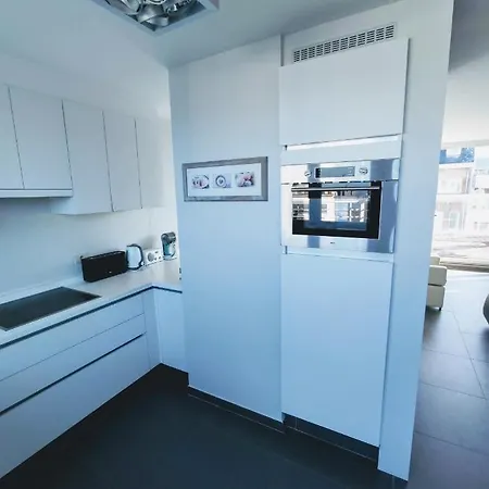 Penthouse Met Groot Terras Ostende