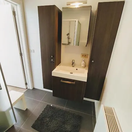 Penthouse Met Groot Terras Ostende